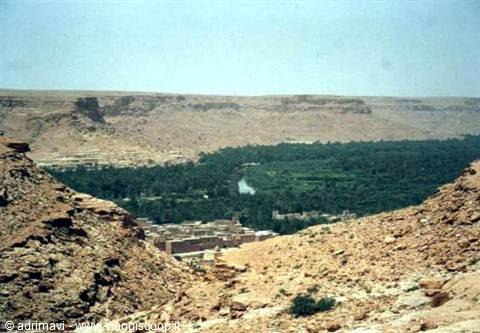 oasis near Errachidia