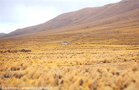 transfer on the altiplano