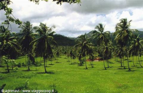 inland landscape