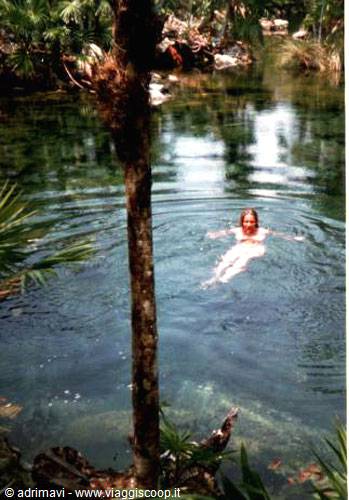 Xe-La marine park - riviera maya