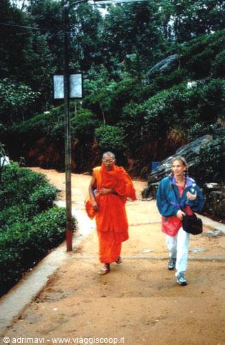 trail to Adam's Peak