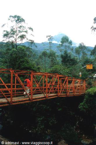 trail to Adam's Peak