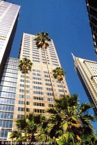 Sydney - skyscrapers