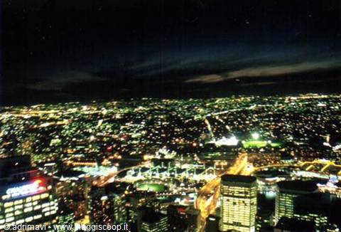 Sydney - panorama from the Sydney Tower