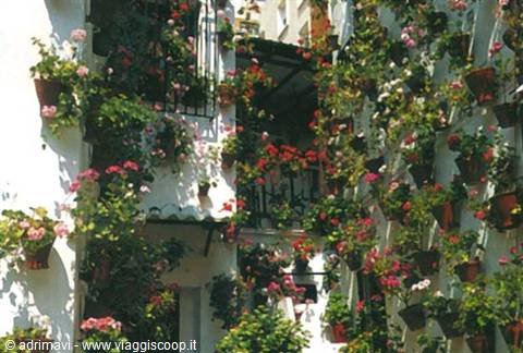 Seville - Barrio Santa Cruz
