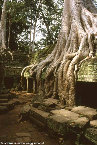 Ta Prohm