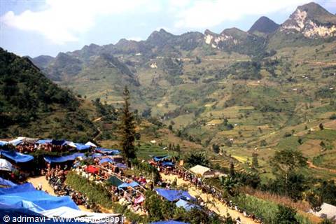 Can Cau market