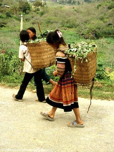 montagnards - young girls at work