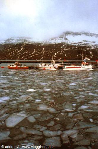 frozen harbour - Reydarfjordur fjord