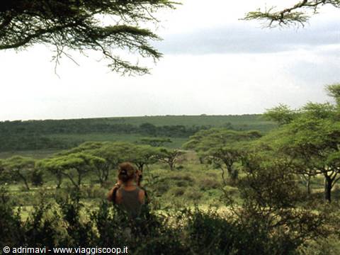 Lake Ndutu