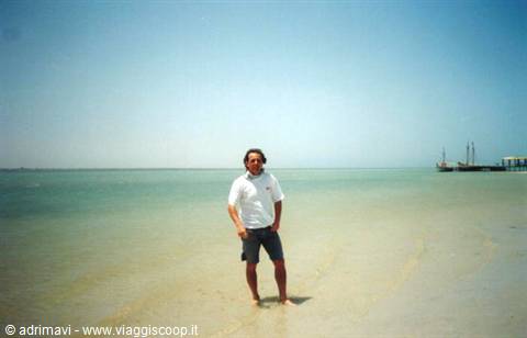 the Island of the Flamingos - Djerba