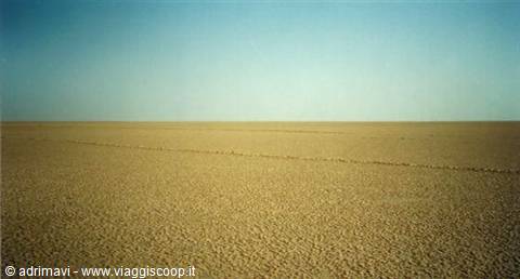 across the Chott el Jerid