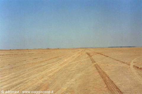 mirages on the Chott el Jerid