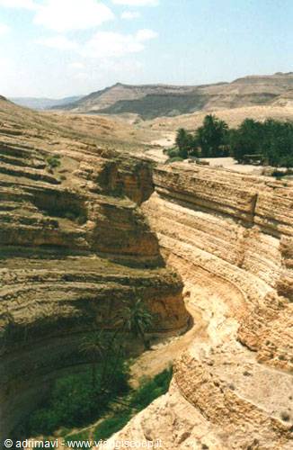 Selja gorges - mountain oasis