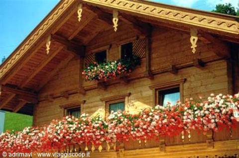 typical house
