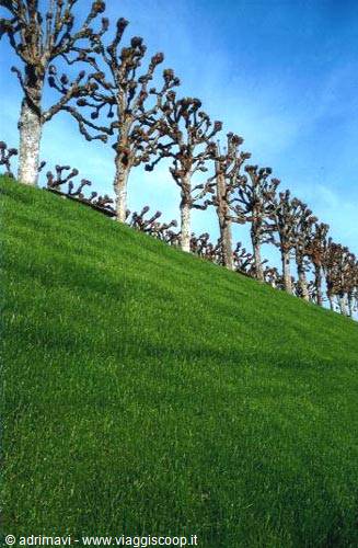 garden of Villandry castle - Loire Castles