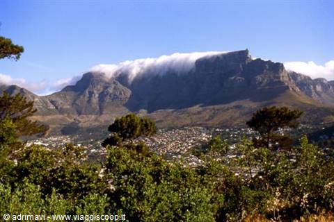Cloud over Table Mountain, Cape Town, above houses among green trees