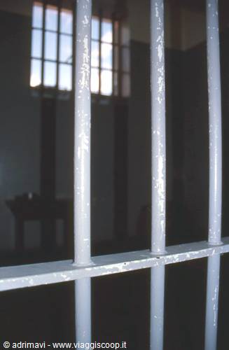 White bars of a prison cell, light through a barred window