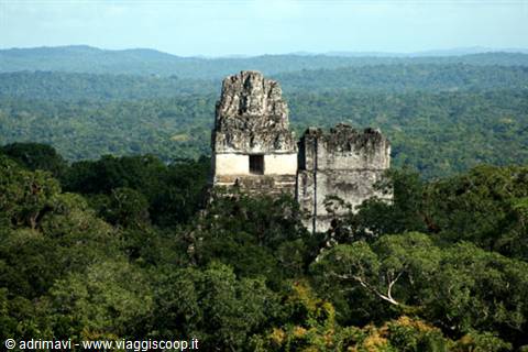 Tikal, temples