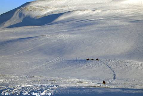 towards the Tunabreen glacier
