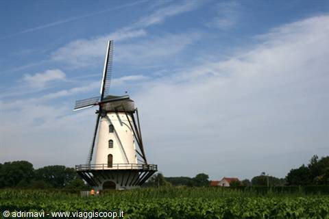 mill