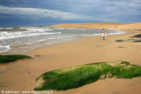 beach and dunes, Barra de Valizas
