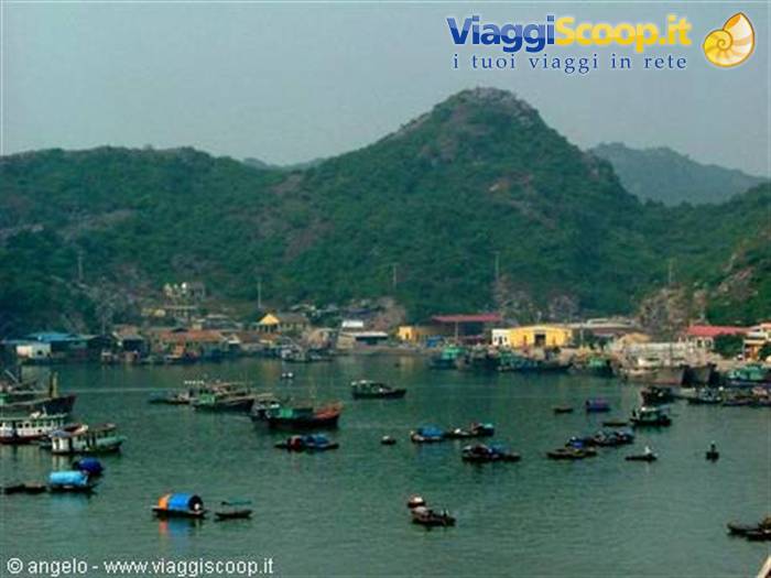 Fishing boats in Cat Ba harbor below green limestone hills