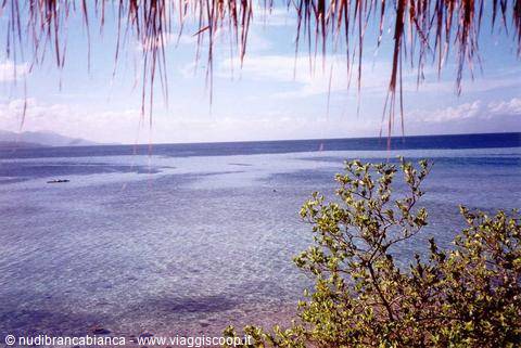Moalboal