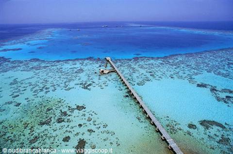 View from the Sanganeb Lighthouse