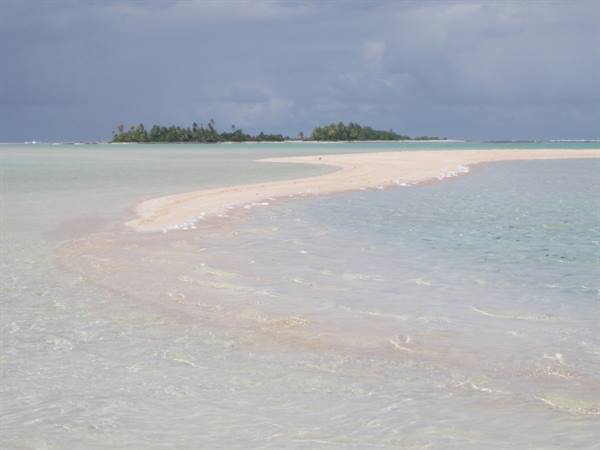 The Pink Sands