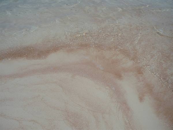 The Pink Sands