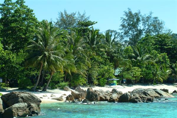 Beach in front of the Coral View Resort