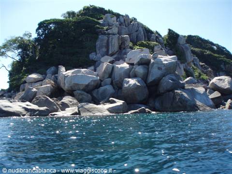 Granite boulders covered with green vegetation above turquoise water, bright sunlight