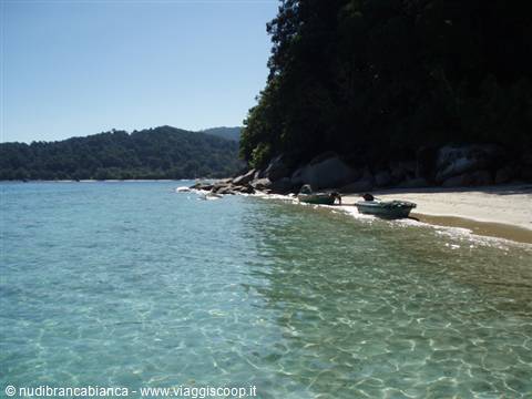 Two boats on a sandy beach, clear turquoise water, green forest over rocks