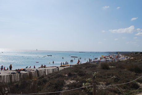 Crowded beach with swimmers on pale sand and Mediterranean scrub in foreground