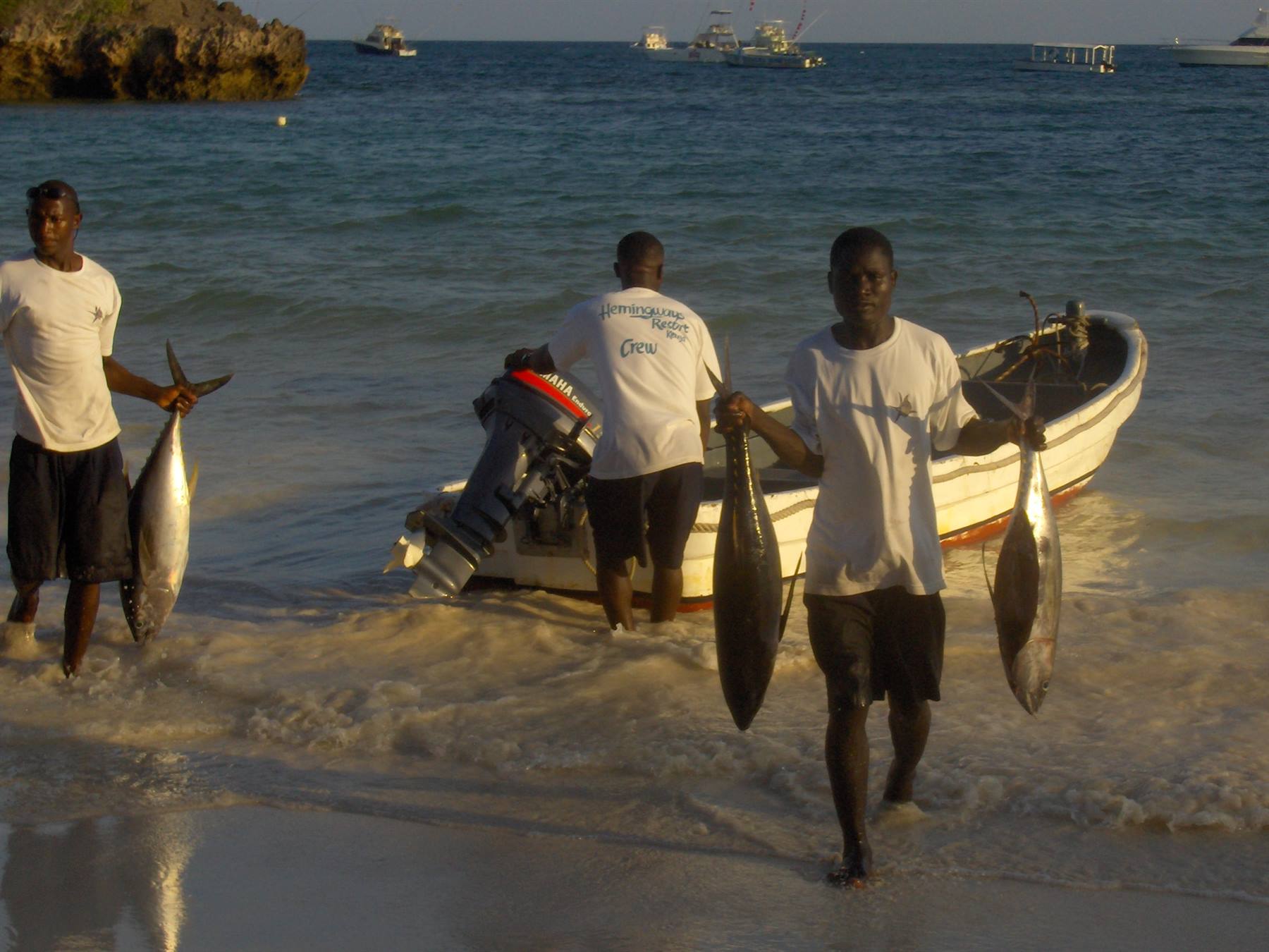 Fishermen carrying tuna near boat with outboard motor