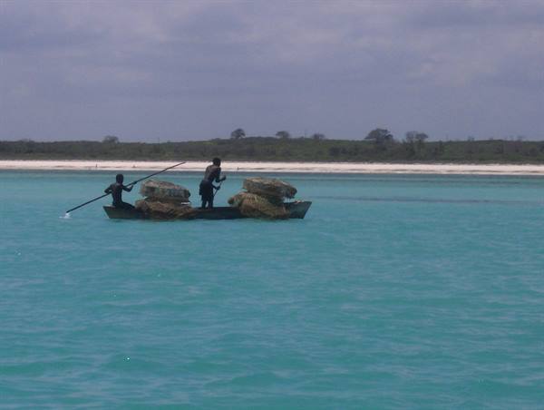 Two fishermen paddle a boat loaded with seaweed on turquoise water