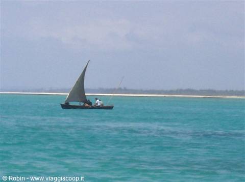 Dhow with triangular sail and two fishermen sailing on turquoise sea by the beach