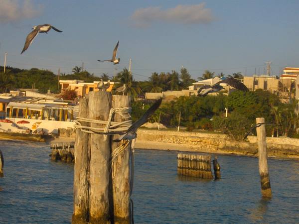 Garrafon Park - Isla de las mujeres