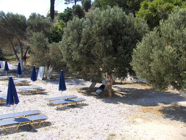 Lemonakia and its olive trees