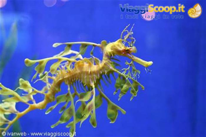 Underwater World