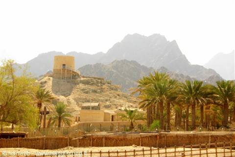 Old mud-brick fort among date palms and rugged arid mountains