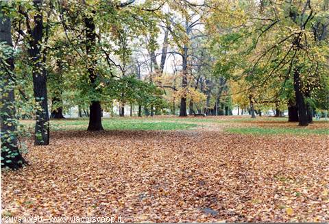 Park on the Moldava