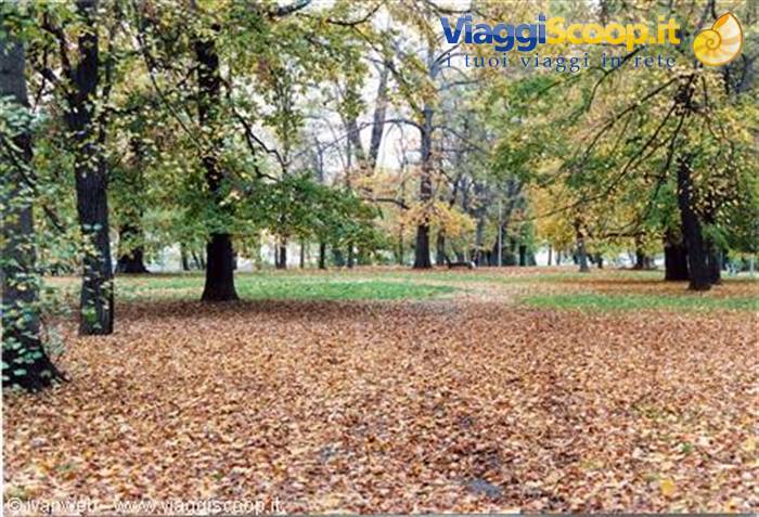 Park on the Moldava