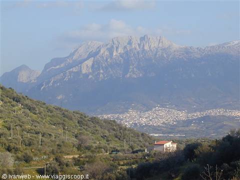 Dorgali
