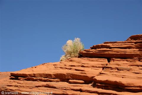 Arizona desert