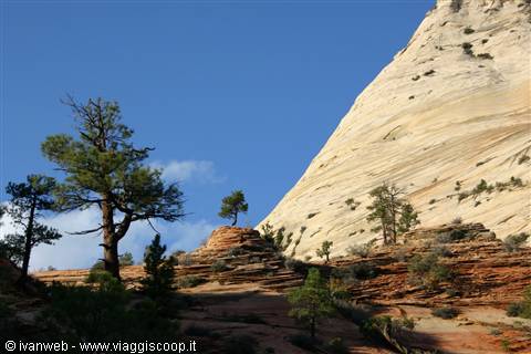 Zion National Park