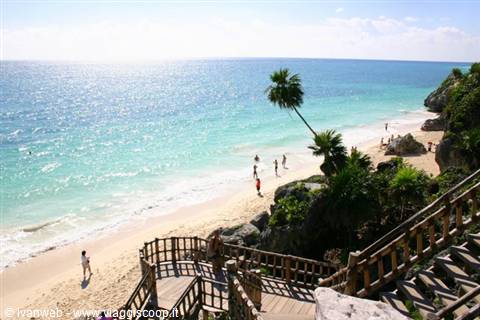 Wooden stairs down to white sand, palm tree and turquoise sea, Tulum