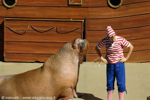 Sea World Orlando