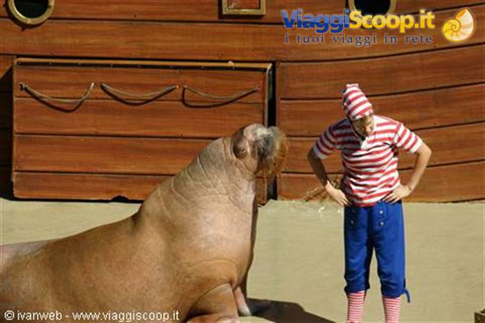 Sea World Orlando